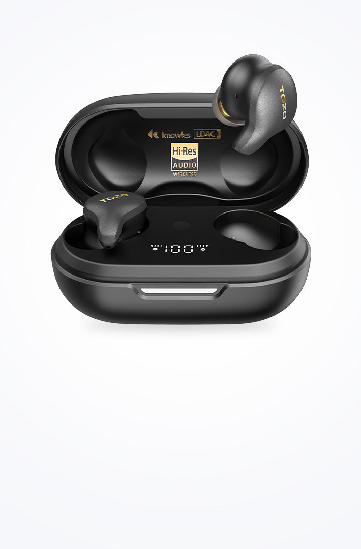 TOZO Golden X1 Image